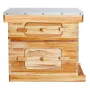 Bee Hive 20 Frame Bee Hives startsæt, bivoksbelagt cedertræ, 1
