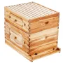 Bee Hive 20 Frame Bee Hives startsæt, bivoksbelagt cedertræ, 1