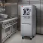 Commercial Ice Cream Machine, 18 L/H Yield, 1600W Single Flavor Hard Serve Ice Cream Maker with Wheels, 6L Stainless Steel Cylin