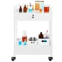 Lab Cart, 2 Tiers Stainless Steel Utility Cart, Medical Cart with 2 Drawers, Rolling Lab Cart White Paint, Serving Cart with Swi
