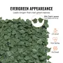 Ivy privatlivshegn, 1,5 x 4m kunstig grøn vægskærm, grønt efvy