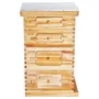 Bee Hive 40 Frame Bee Hives startsæt, bivoksbelagt cedertræ, 2