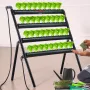 Hydroponics Growing System, 36 Sites 4 Layers, Dark Grey PVC Pipes Hydroponic Grow Kit with Water Pump, Timer, Baskets and Spong