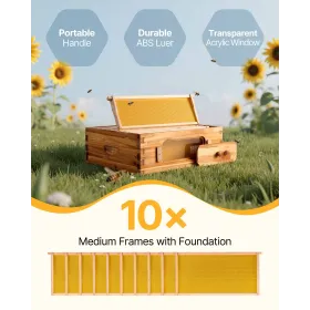 Bee Hive Langstroth Medium Beehive Kit 10 Frames Acrylic Bee Windows