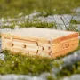 Bee Hive Medium Box Starter Kit, 100% Beeswax Coated Natural Fir Wood, Langstroth Beehive Kit with 10 Frames and Foundations, Tr