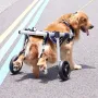 2 Wheels Dog Wheelchair for Back Legs, Pet Wheelchair Lightweight & Adjustable Assisting in Healing, Dog Cart/Wheelchair for Inj