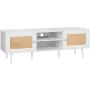Rattan TV Stand for 65 "TV Boho TV Stand med indbygget