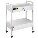 Labvogn, 2 lags rustfrit stål Utility Cart Medical Cart 2 skuffer Rolling Lab Cart White Paint Maling Servering Cart med 360â °