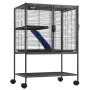 34" Rolling Metal Ferret Cage, Large 2-Tier Critter Nation Cage, Small Animal Cage with Ramps & Tray, Easy to Set up for Pet Rat
