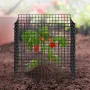 10-pak plantebeskyttere mod dyr 30 x 30 cm plantebur til