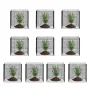 10-pak plantebeskyttere mod dyr 30 x 30 cm plantebur til