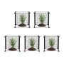 5 Pack Plant Protector from Animals, 15.35'' x 15.35'' Chicken Wire Plant Protector, Plant Cages for Outdoor Plants, Flowers & V