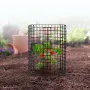 6 Pack Plant Protector from Animals, 12.6'' Dia. x 14'' H Chicken Wire Plant Protector, Plant Cages for Outdoor Plants, Flowers 
