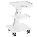 Lab Trolley, 3-Layer Rolling Lab Cart, Metal Mobile Trolley with Swivel Wheels, Tray Rolling Clinic Cart 220 lbs Weight