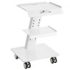 Lab Trolley, 3-Layer Rolling Lab Cart, Metal Mobile Trolley with Swivel Wheels, Tray Rolling Clinic Cart 220 lbs Weight