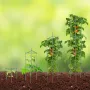 6 Packs Tomato Cages for Garden, 48 inch Tomato Trellis Plant Stakes Support, Stackable Tall Plant Support Cage, for Raised Gard