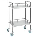 Lab Rolling Cart, 2-Shelf Stainless Steel Rolling Cart, Lab Serving Cart with Swivel Casters, Dental Utility Cart for Clinic,