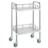 Lab Rolling Cart, 2-Shelf Stainless Steel Rolling Cart, Lab Serving Cart with Swivel Casters, Dental Utility Cart for Clinic,