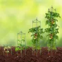 4 pakker tomatbure til haven 63" støttebur til tomatplantepæle