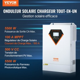 Hybrid Solar Inverter Charger 5500W 230V with 100A MPPT Solar Controller