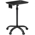 Salon Tray Cart, 30"-43" Height Adjustable Rolling Salon Tray, Cold-rolled Plate Tattoo Tray with 5 WheelsÂ (2 Lockable) for SPA