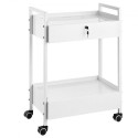 Lab Cart, 2 Tiers Stainless Steel Utility Cart, Medical Cart with 2 Drawers, Rolling Lab Cart White Paint, Serving Cart with