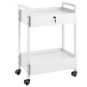 Lab Cart, 2 Tiers Stainless Steel Utility Cart, Medical Cart with 2 Drawers, Rolling Lab Cart White Paint, Serving Cart with