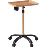 Salon Tray Cart, 30"-43" Height Adjustable Rolling Salon Tray, Cold-rolled Plate Tattoo Tray with 5 Wheels (2 Lockable)Â for SPA