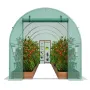 Walk-in Tunnel Greenhouse, 14.6x6.4x6.3 ft Hoop House Greenhouse Tunnel, Plant Hot House with Galvanized Steel Frame, Green PE C