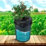 DWC Hydroponics Grow System Dybvandskultur 8 Spande med