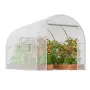 Walk-in Tunnel Greenhouse 2.9x2x1.9 m Galvanized Frame PE Cover White