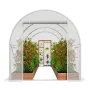 Walk-in Tunnel Greenhouse 2.9x2x1.9 m Galvanized Frame PE Cover White