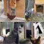 Automatic chicken door opening kit 12.6x11.8 inch automatic duck cage door opening infrared detection duck goose door opening to