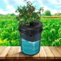 DWC Hydroponics Grow System, Hydroponic Growing System, Deep Water Culture 5-Gallon 4 Buckets, DWC System with Air Pump, Air Sto