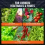 RDWC Hydroponics System Recirculating Deep Water Culture 4 Buckets 18.9 L