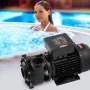 2 Speed SPA Pump, 56-Frame, Dual-Speed Hot Tub SPA Pump, 1600W / 39 m³/h / 15 m High Speed or 400W / 19 m³/h / 3.9 m Low Speed, 