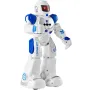 RC Robot Toys for Kids, Gesture Sensing Programmable Remote Control Smart Robot, Interactive Walking Singing Dancing Robot for A