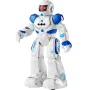 RC Robot Toys for Kids, Gesture Sensing Programmable Remote Control Smart Robot, Interactive Walking Singing Dancing Robot for A