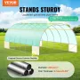 Walk-in Tunnel Greenhouse, 19.4x9.7x6.5 ft Hoop House Greenhouse Tunnel, Plant Hot House with Galvanized Steel Frame, Green PE C