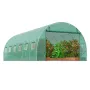 Walk-in Tunnel Greenhouse, 19.4x9.7x6.5 ft Hoop House Greenhouse Tunnel, Plant Hot House with Galvanized Steel Frame, Green PE C
