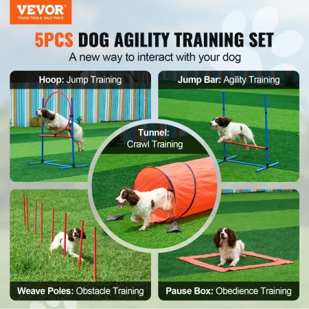 Dog Agility Training Equipment 5 pcs kombination sæt med