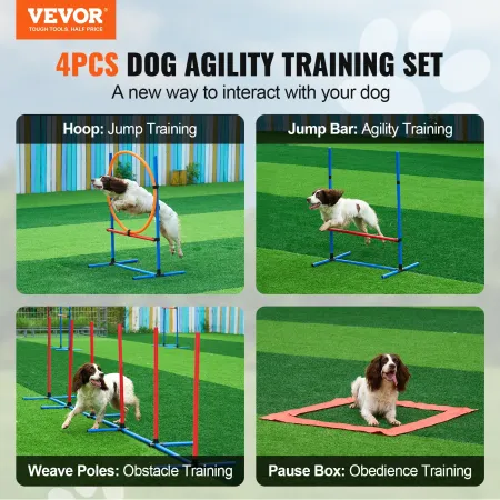 Dog Agility Training Equipment 4 Pcs indstillet med