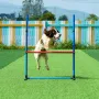 Dog Agility Training Equipment 5 pcs indstillet med