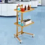 2 Tiers Stainless Steel Lab Carts, Lab Utility Cart with 2 Trays, Mobile Medical Cart with 4 Silent Wheels, Lab Rolling Cart for