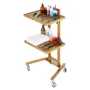 2 Tiers Stainless Steel Lab Carts, Lab Utility Cart with 2 Trays, Mobile Medical Cart with 4 Silent Wheels, Lab Rolling Cart for