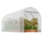Walk-in Tunnel Greenhouse, 14.6x6.4x6.3 ft Hoop House Greenhouse Tunnel, Plant Hot House with Galvanized Steel Frame, White PE C