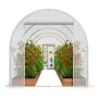 Walk-in Tunnel Greenhouse, 14.6x6.4x6.3 ft Hoop House Greenhouse Tunnel, Plant Hot House with Galvanized Steel Frame, White PE C