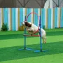 Dog Agility Training Equipment 5 PCS -opgradering m/
