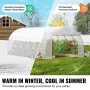 Walk-in Tunnel Greenhouse, 19.4x9.7x6.5 ft Hoop House Greenhouse Tunnel, Plant Hot House with Galvanized Steel Frame, White PE C