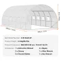 Walk-in Tunnel Greenhouse, 19.4x9.7x6.5 ft Hoop House Greenhouse Tunnel, Plant Hot House with Galvanized Steel Frame, White PE C